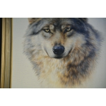 张运华---天狼系列1精品写真油画，室内装饰画 墙画，画家真迹