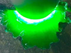 JF2129号146克精品莫湾基大面积开窗冰阳绿戒面品质挂件料，品相好，无裂纹，大面积开窗种老起胶，色相当辣，水头充足，冰冰透透，满绿，直接出货，尺寸5*5*3cm