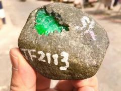 JF2129号146克精品莫湾基大面积开窗冰阳绿戒面品质挂件料，品相好，无裂纹，大面积开窗种老起胶，色相当辣，水头充足，冰冰透透，满绿，直接出货，尺寸5*5*3cm