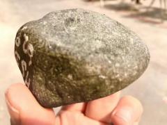 JF2129号146克精品莫湾基大面积开窗冰阳绿戒面品质挂件料，品相好，无裂纹，大面积开窗种老起胶，色相当辣，水头充足，冰冰透透，满绿，直接出货，尺寸5*5*3cm