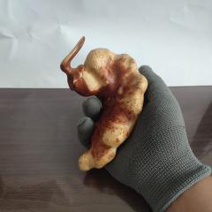 超级极品手工雕刻火琉璃木简约新款芝麻点大福豆文玩摆件手把件