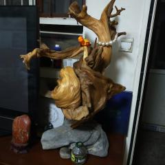 精品崖柏摆件,镇宅神木,扭曲瘤花,象形舞神,书画家笔挂珠宝架,高约60厘米,重约30斤。一面看像挺肚守门大将军,另一面看像迎宾的童子,威风与喜悦并存。买后不寄垫台石。