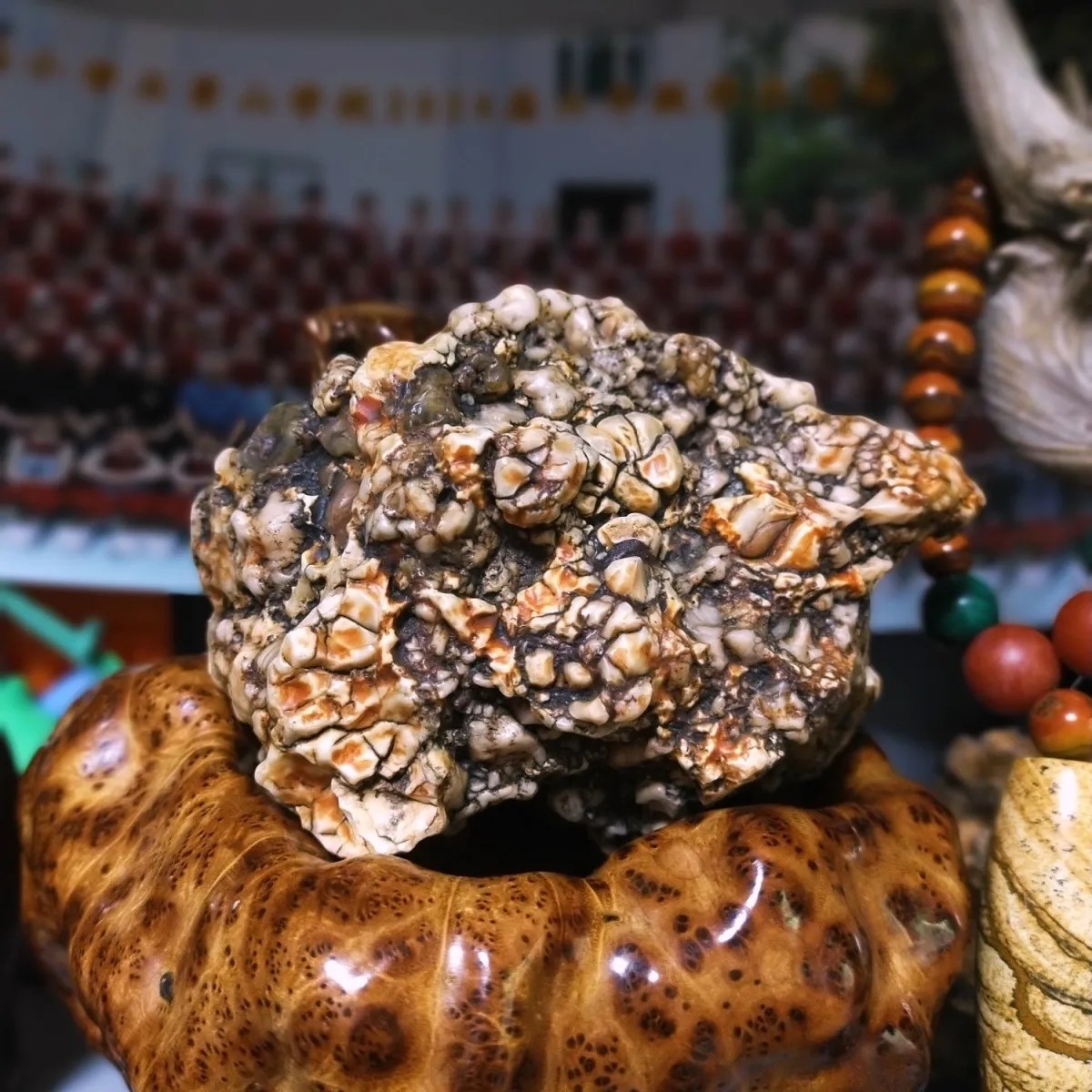沙漠漆彩石,真正的外蒙料(非阿拉善),色彩多变丰富,开片裂纹,大料象形、背视似只盔甲恐龙、正视似绽放...