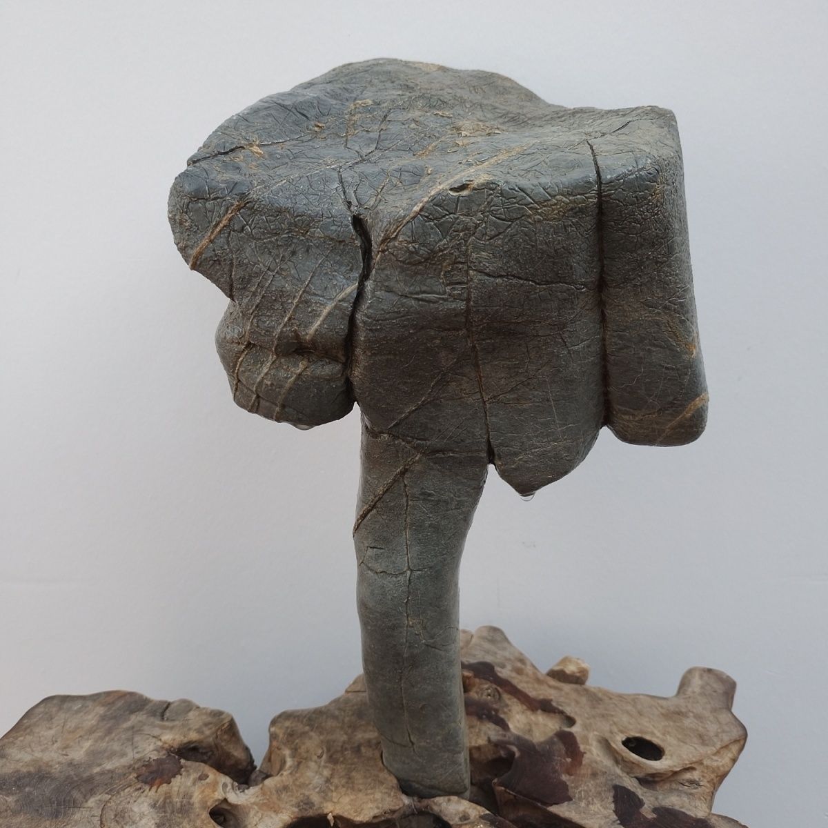 闪电波纹奇石,擎天石,象形石,文人石,江山石,永定石,山皮波密纹奇石。原生天作,石之筋脉平行纹理皆天...